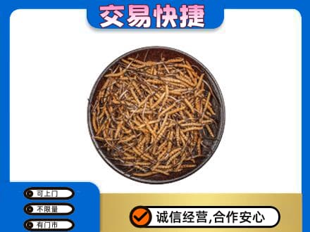 柳州城中区回收散虫草